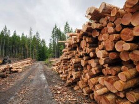Ethical logging for conservation